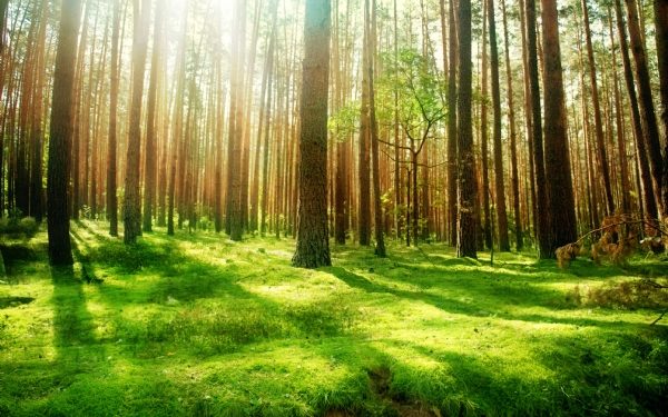 2017 Sonuna Kadar 12 Tesis Daha Kurulacak İneva, Atıklara Terzi Uusulü Özel Tasarımlar Yapıyor