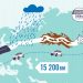 Ford TRUCKS, Umman, Katar ve Bahreyn Bayi Açılışları İle Orta Doğu Yapılmasını Tamamladı