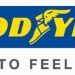 Goodyear, Üst Üste Dördüncü Kez Dünyanın En Beğenilen Lastik Üreticisi Seçildi